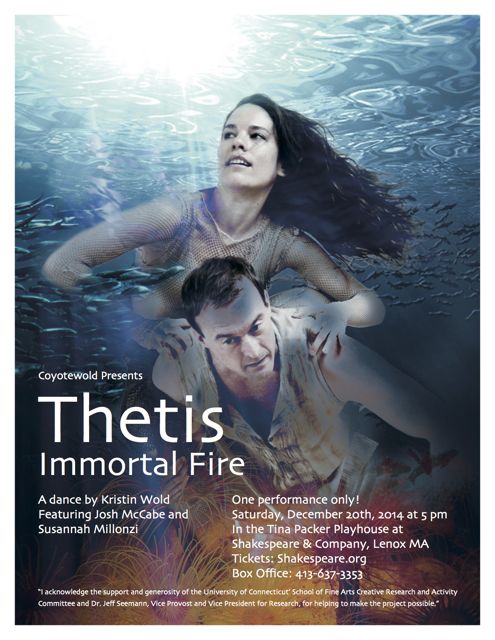 thetis poster 8.5x11 no bleed FIN-medium